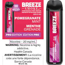 Breeze 2000 Pomegranate Mint